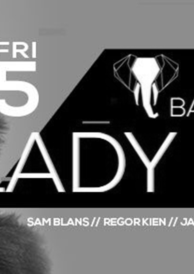 Bad Elephant X Lady Bee